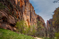 Riverside train, Zion National Park, Utah